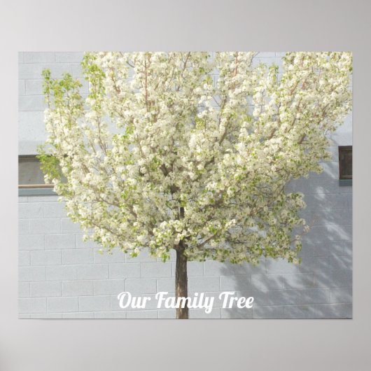 Twee Families Trees Blossom Foto | Naam Poster (Voorkant)