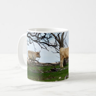 Twee Fawn Highland Koeien in vredige landen, Koffiemok