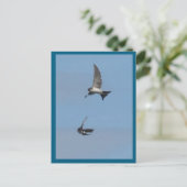 Twee Flying House Martins DIY Briefkaart (Staand voorkant)