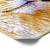 Twee focus_Poster Poster (Hoek)