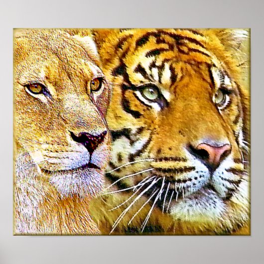 Twee focus_Poster Poster (Voorkant)