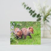 Twee Fox Cubs Briefkaart (Staand voorkant)