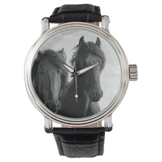 Twee Friesian stallions. Horloge