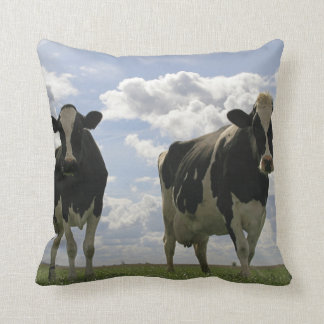 Twee Friesse koeien Kussen