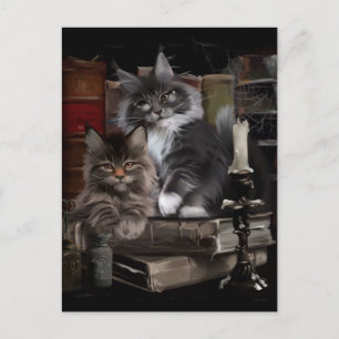 Twee furry Maine Coon kittens Briefkaart