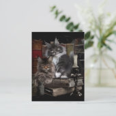 Twee furry Maine Coon kittens Briefkaart (Staand voorkant)