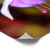 Twee Fuschia Flowers Poster (Hoek)