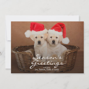 Twee Geel "puppy" van Kerstmis van het Feestdagenkaart