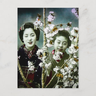Twee Geisha  Japan in Blossom Japans Briefkaart
