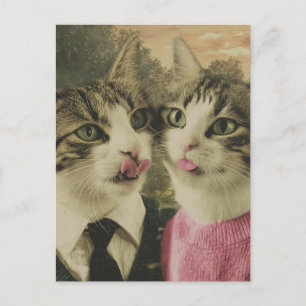 Twee Gekke katten Briefkaart