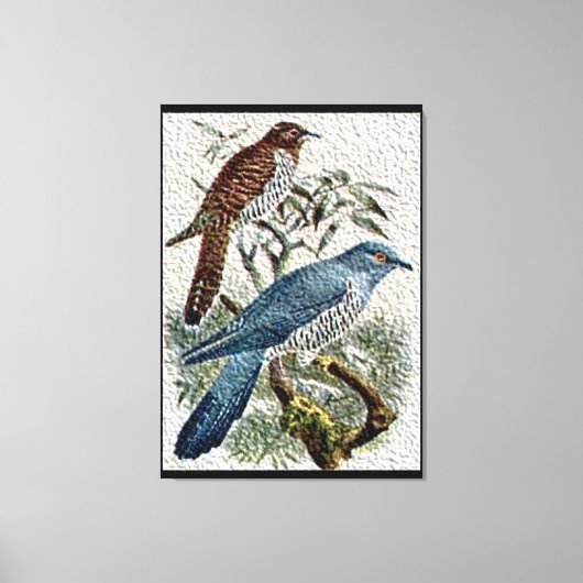 Twee gekleurde Cuckoo-vogels in getextureerde canv Canvas Afdruk (Voorkant)