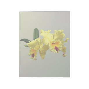 Twee Gele Cattleya Orchids Notitieblok