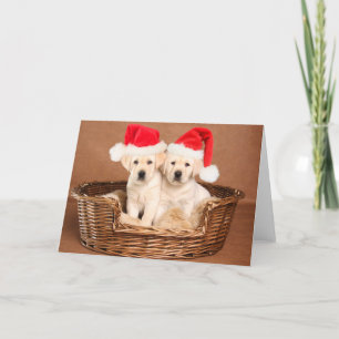 Twee Gele Lab Kerst Puppies Feestdagen Kaart