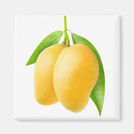 Twee gele mango-vruchten magneet