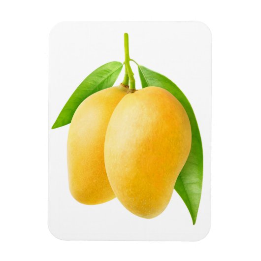 Twee gele mango-vruchten magneet (Verticaal)