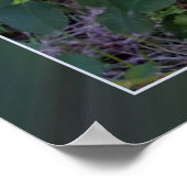 twee gele rozen poster (Hoek)