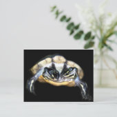 Twee-geleide Schildpad Briefkaart (Staand voorkant)