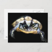 Twee-geleide Schildpad Briefkaart (Voorkant / Achterkant)