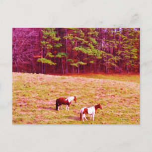 Twee geverfde paarden briefkaart