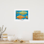Twee gevlekte vissen Onderwater Zeedieren Schilder Poster (Keuken)