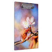 Twee geweldige Sakura Flowers. Roze, blauwe achter Klembord (Rechts)