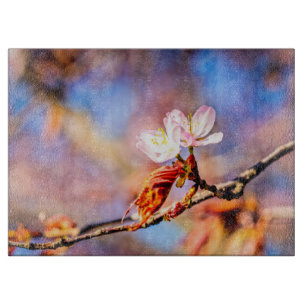 Twee geweldige Sakura Flowers. Roze, blauwe achter Snijplank
