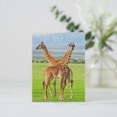 Twee Giraffes Briefkaart (Staand voorkant)