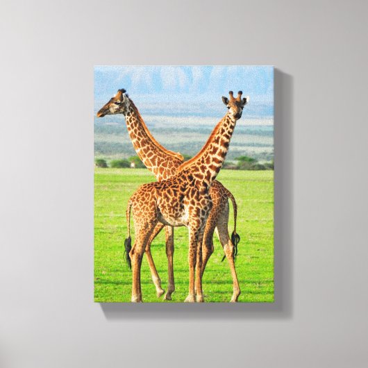 Twee Giraffes Canvas Afdruk (Voorkant)