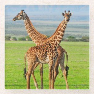 Twee Giraffes Glazen Onderzetter