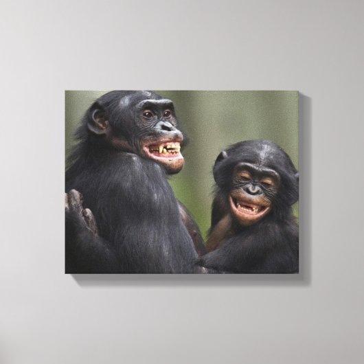 Twee glimlende bonobo's canvas afdruk (Voorkant)