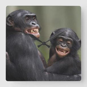 Twee glimlende bonobo's vierkante klok