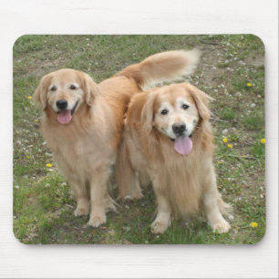 Twee glimlende Golden Retriever Dogs in het Park Muismat