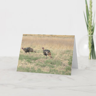 Twee Gobblers Feestdagen Kaart