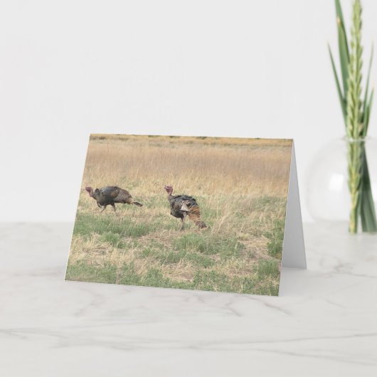 Twee Gobblers Feestdagen Kaart (Voorkant)