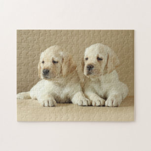 Twee Golden Labrador Puppies Legpuzzel
