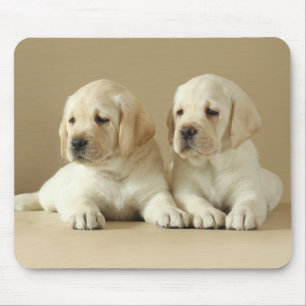 Twee Golden Labrador-Puppies Muismat