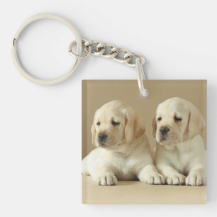 Twee Golden Labrador-Puppies Sleutelhanger