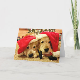 Twee Golden Retriever-honden in Kerstmis in Santa  Feestdagen Kaart