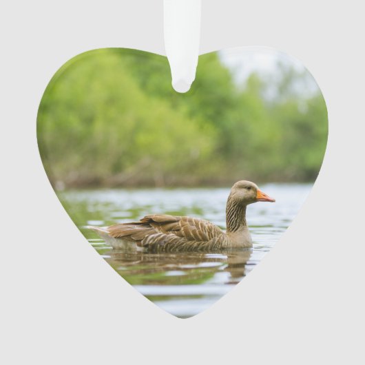 Twee Goose Wildlife Lake Dated Photo Custom Ornament (voorkant)