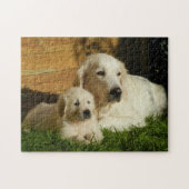 Twee gouden rievers - Mam en puppy - Liefde Legpuzzel (Horizontaal)