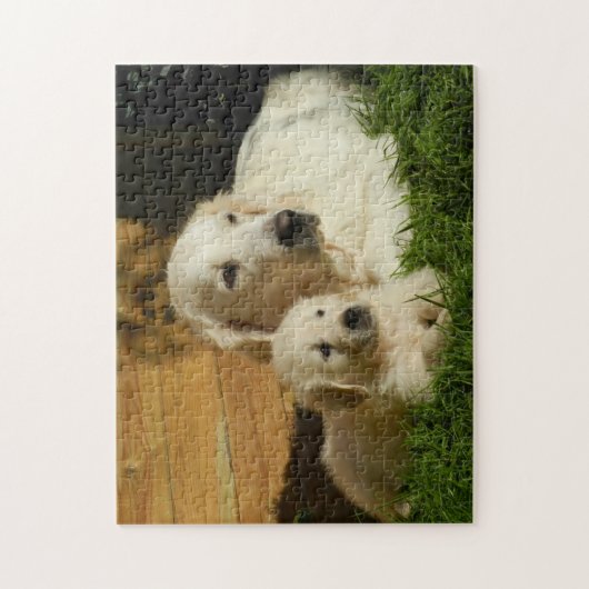 Twee gouden rievers - Mam en puppy - Liefde Legpuzzel (Verticaal)