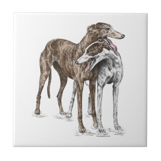 Twee Greyhound Friends Dog Art Tegeltje (Voorkant)