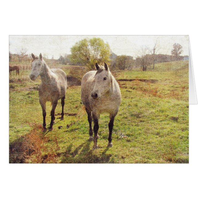 Twee grijs (Voorkant Horizontaal)