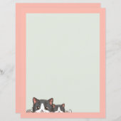 Twee grijze katjes Papierblad (Voorkant / Achterkant)