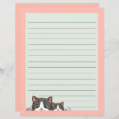 Twee grijze kittens op papier (Voorkant / Achterkant)