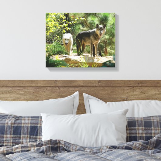 Twee grijze wolven in het bos canvas afdruk (Insitu (Slaapkamer))