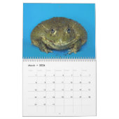 Twee groene kikkers 2025 Kalender (Mar 2026)