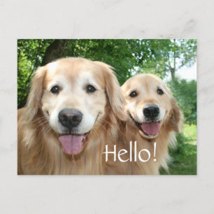 Twee Happy Golden Retriever Honden buiten Briefkaart