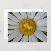 Twee harten op marguerite briefkaart (Voorkant / Achterkant)