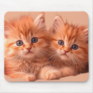 Twee heel schattige katjes op een laptop desktop t muismat